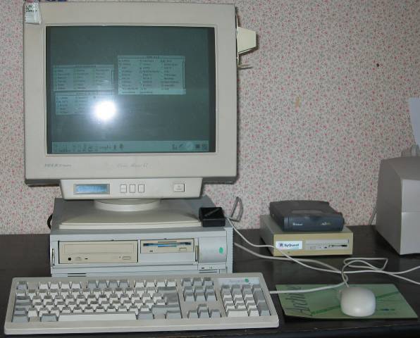 Risc PC 600